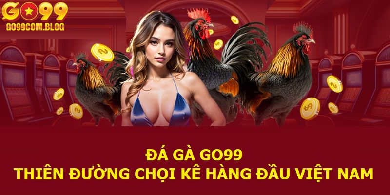 Sảnh đấu chiến kê đầy cuốn hút