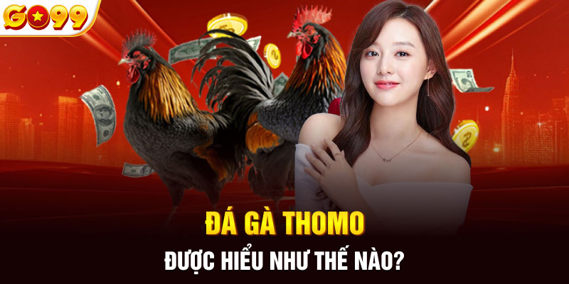 Đá gà Thomo được hiểu theo nghĩa như thế nào?