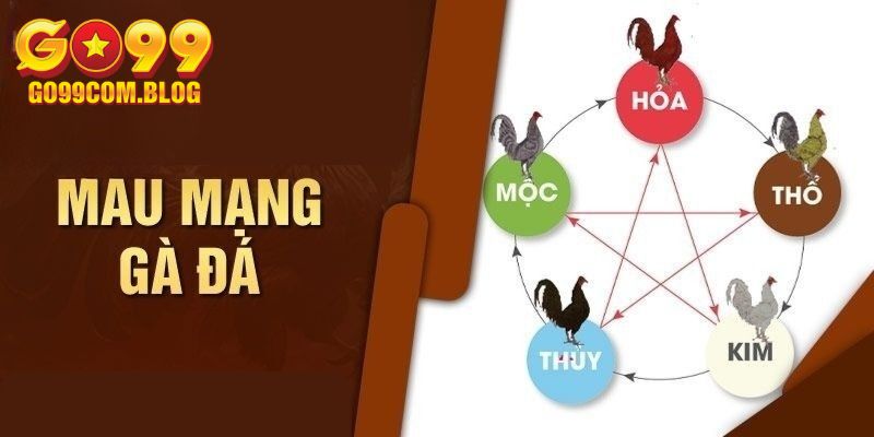 Tổng hợp những bí kíp xem màu mạng chiến kê