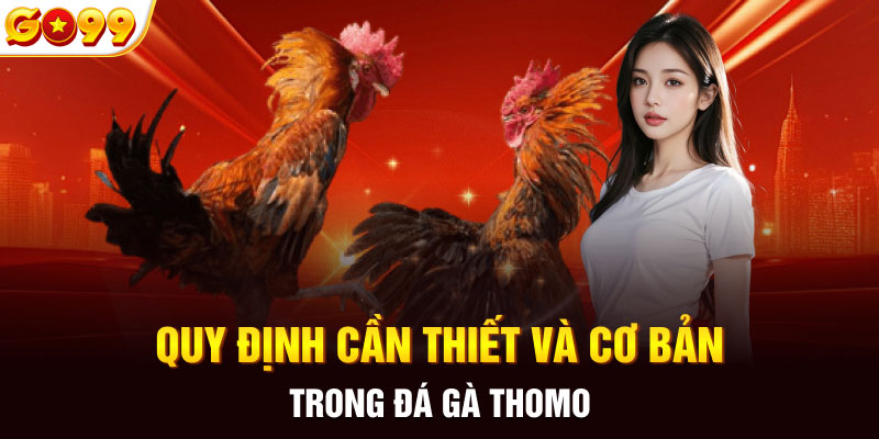 Quy định cần thiết và cơ bản trong đá gà Thomo